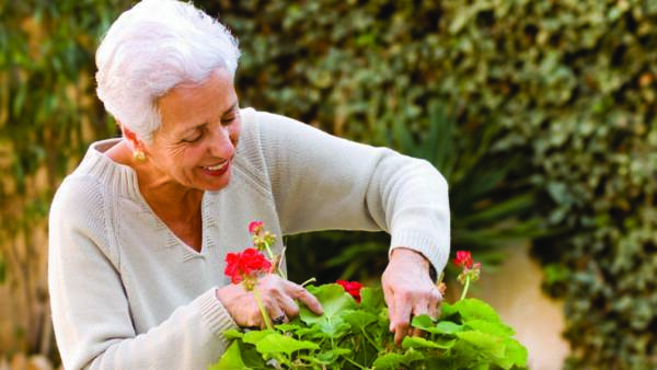 woman in her 70s doing gardening