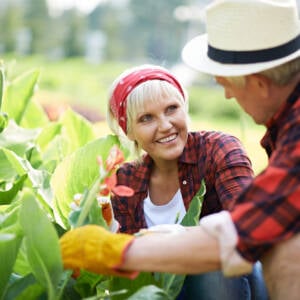 Are you over 75? Here’s what you need to know about vitamin D